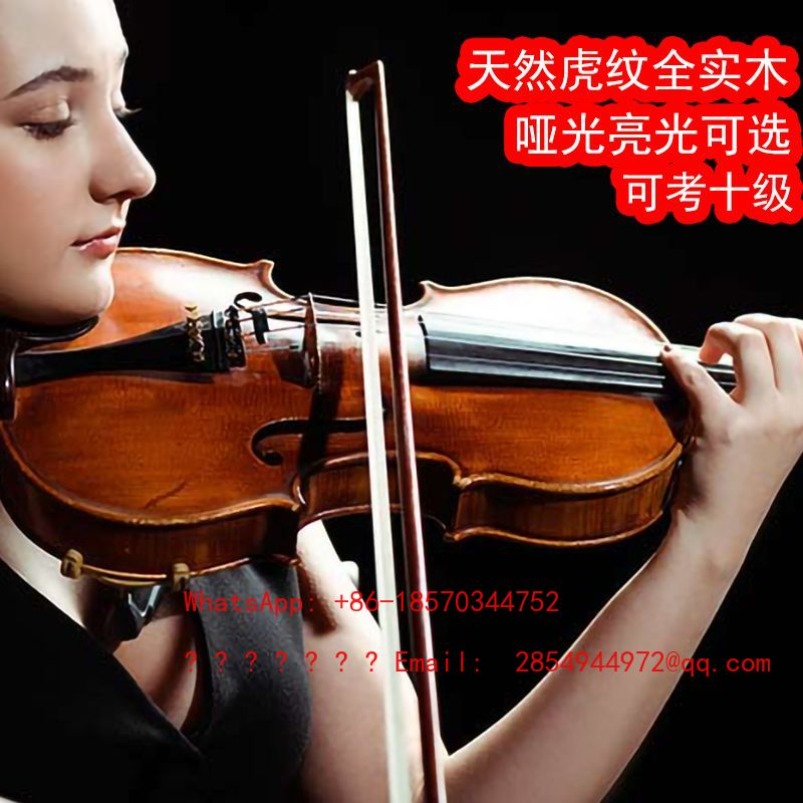 Musical Instrument Net - Biola Profesional Kelas Pertama, Instrumen Musik,