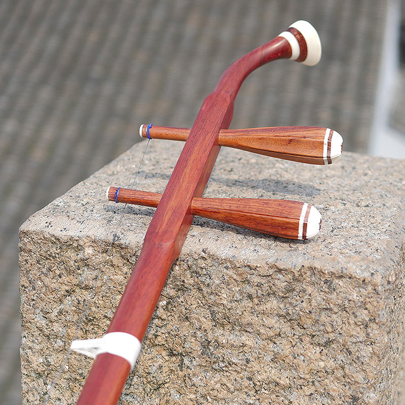 Profesional Dunhuang Merek 06A - Musical Instrument All ulasan dan harga