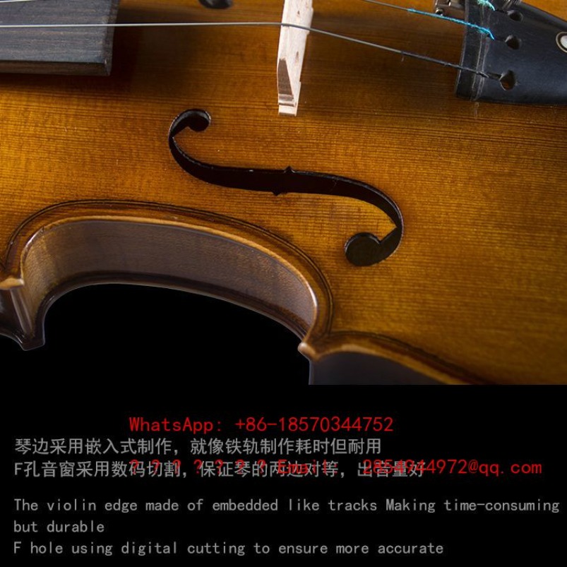 Biola Profesional Kelas Pertam - Musical Instrument Net ulasan dan harga