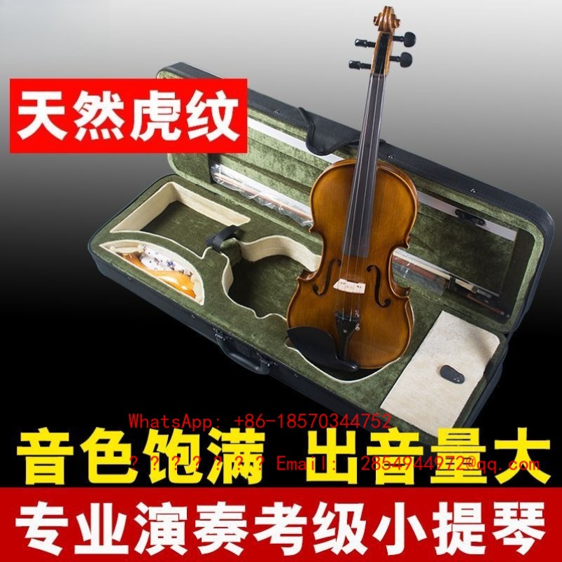 Biola Profesional Kelas Pertam - Musical Instrument Net ulasan dan harga