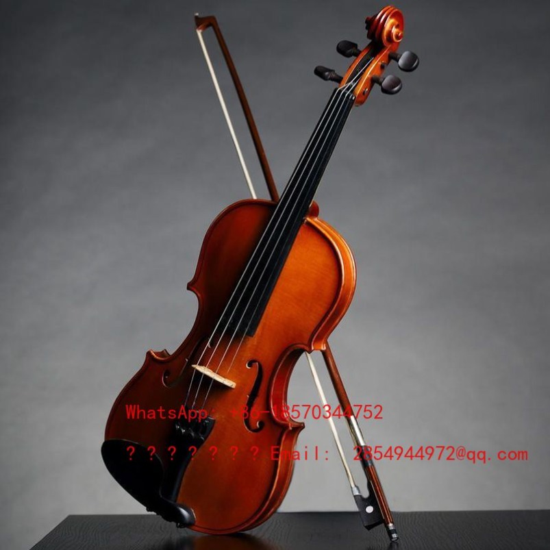 Biola Profesional Kelas Pertam - Musical Instrument Net ulasan dan harga