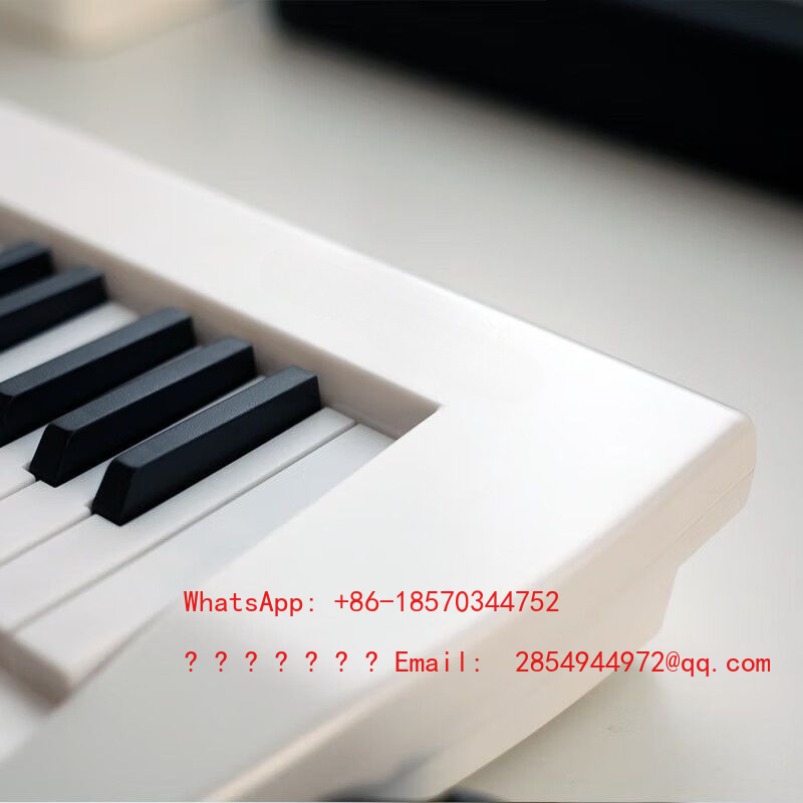 Alat Musik Lansia Organ Elektr - Musical Instrument Net ulasan dan harga