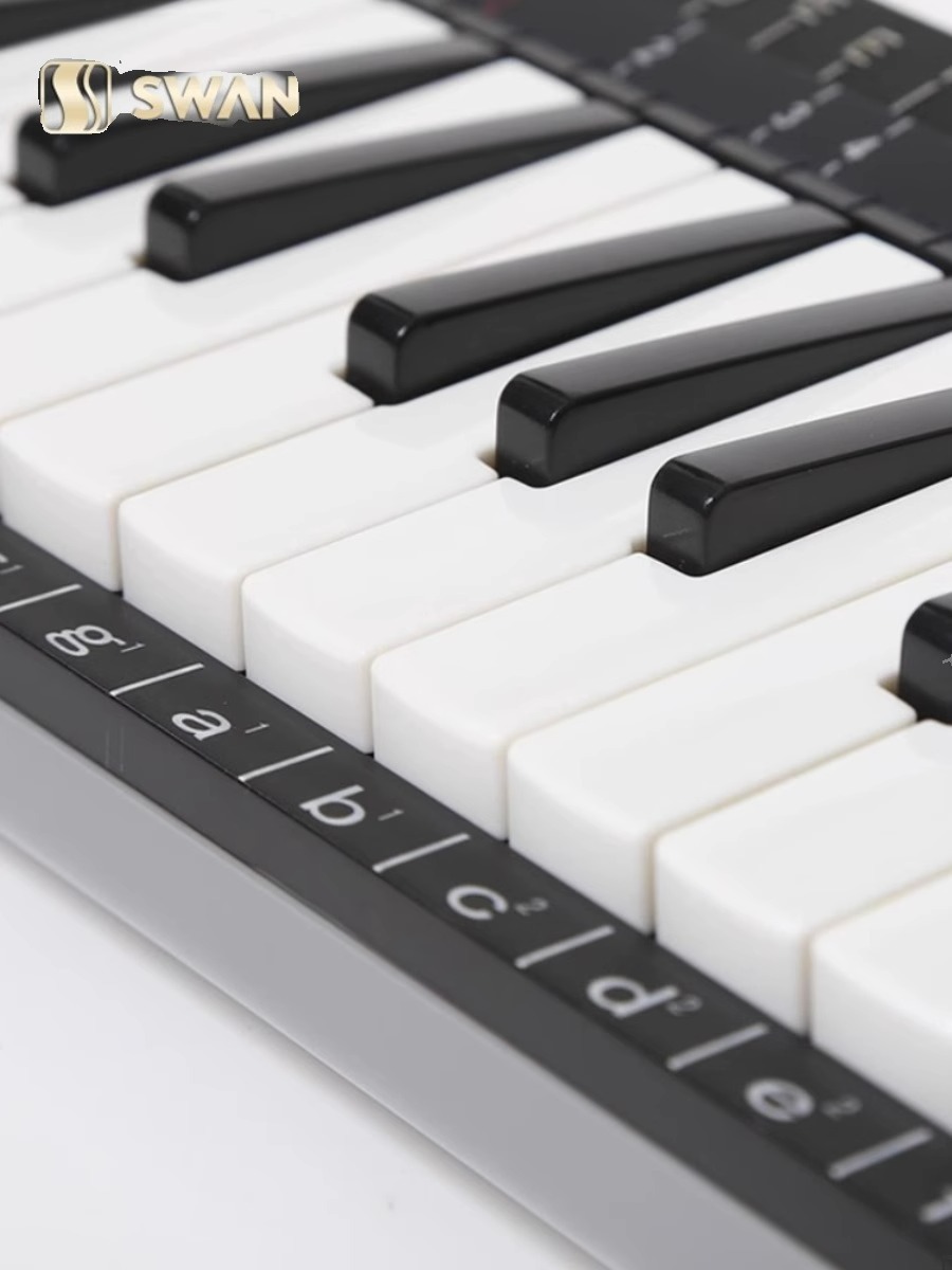Set Melodika Profesional 37 Ku - Musical Instrument Melodica ulasan dan harga