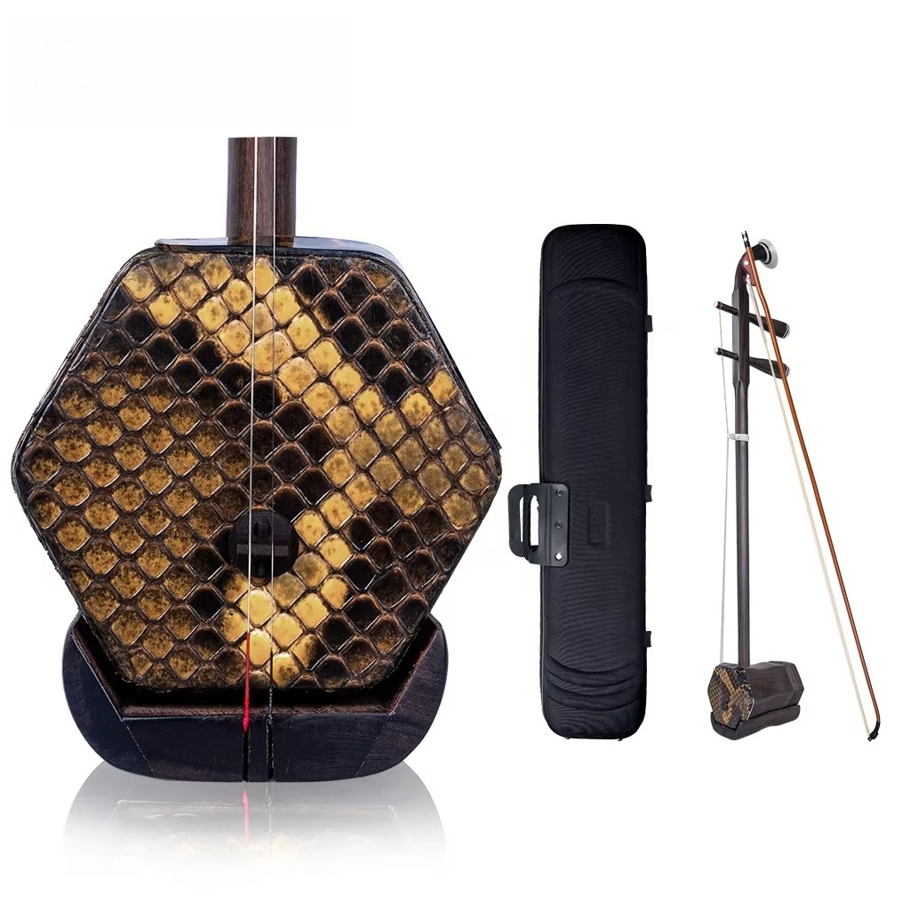 Pemain Erhu Tingkat Lanjut Men - Musical Instrument Fiddle ulasan dan harga